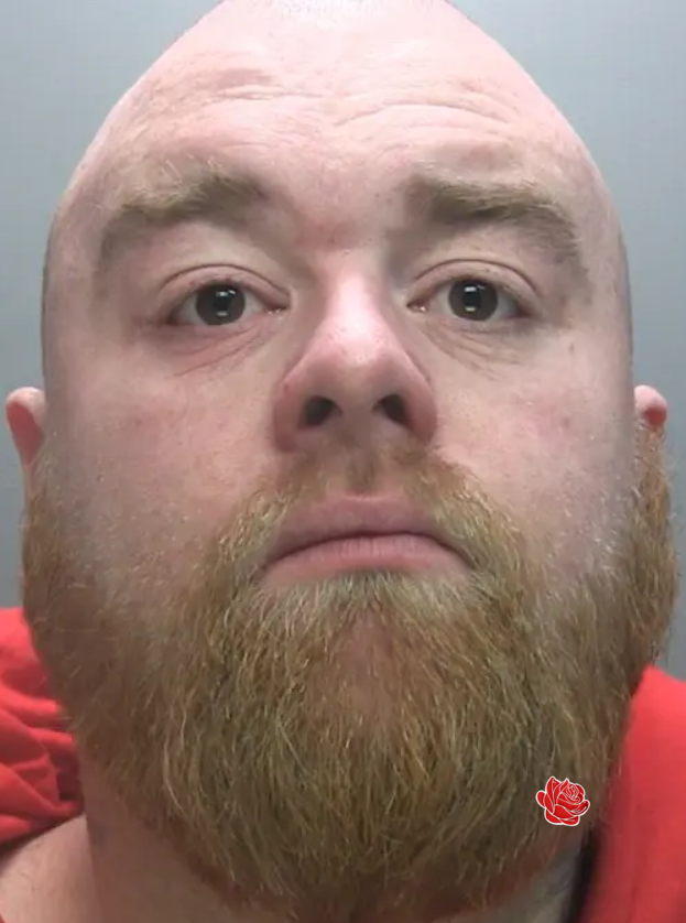 Profile image of Liam Hardy
